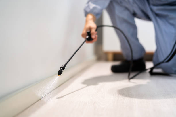 Licensed Termite Control service in Big Horn County County, MT - Nex Pest Control