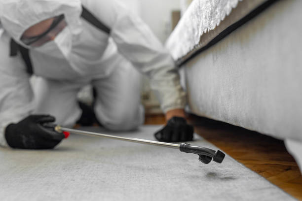 Professional Termite Control technician working in Big Horn County County, MT
